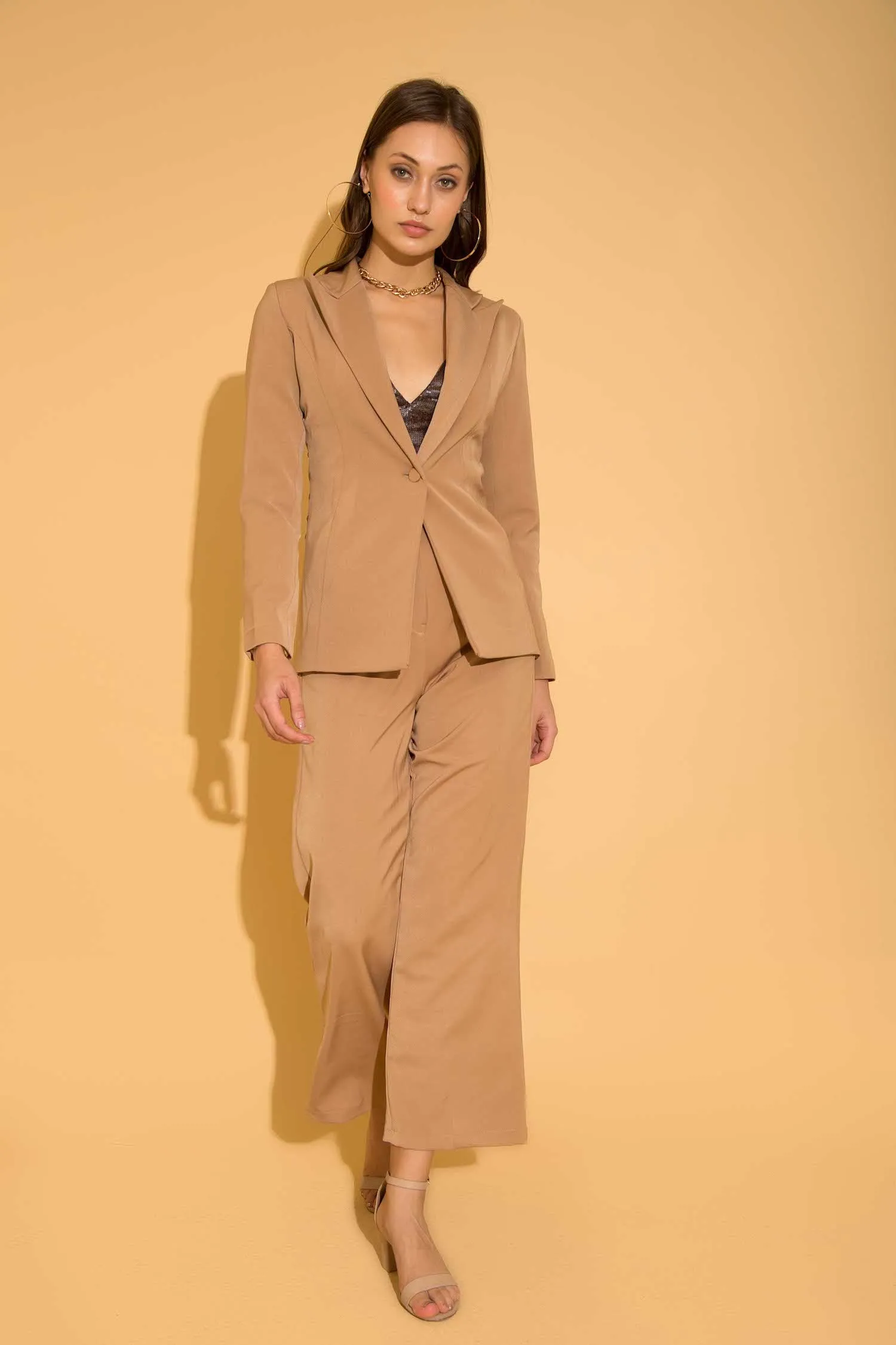 Beige Formal Pants