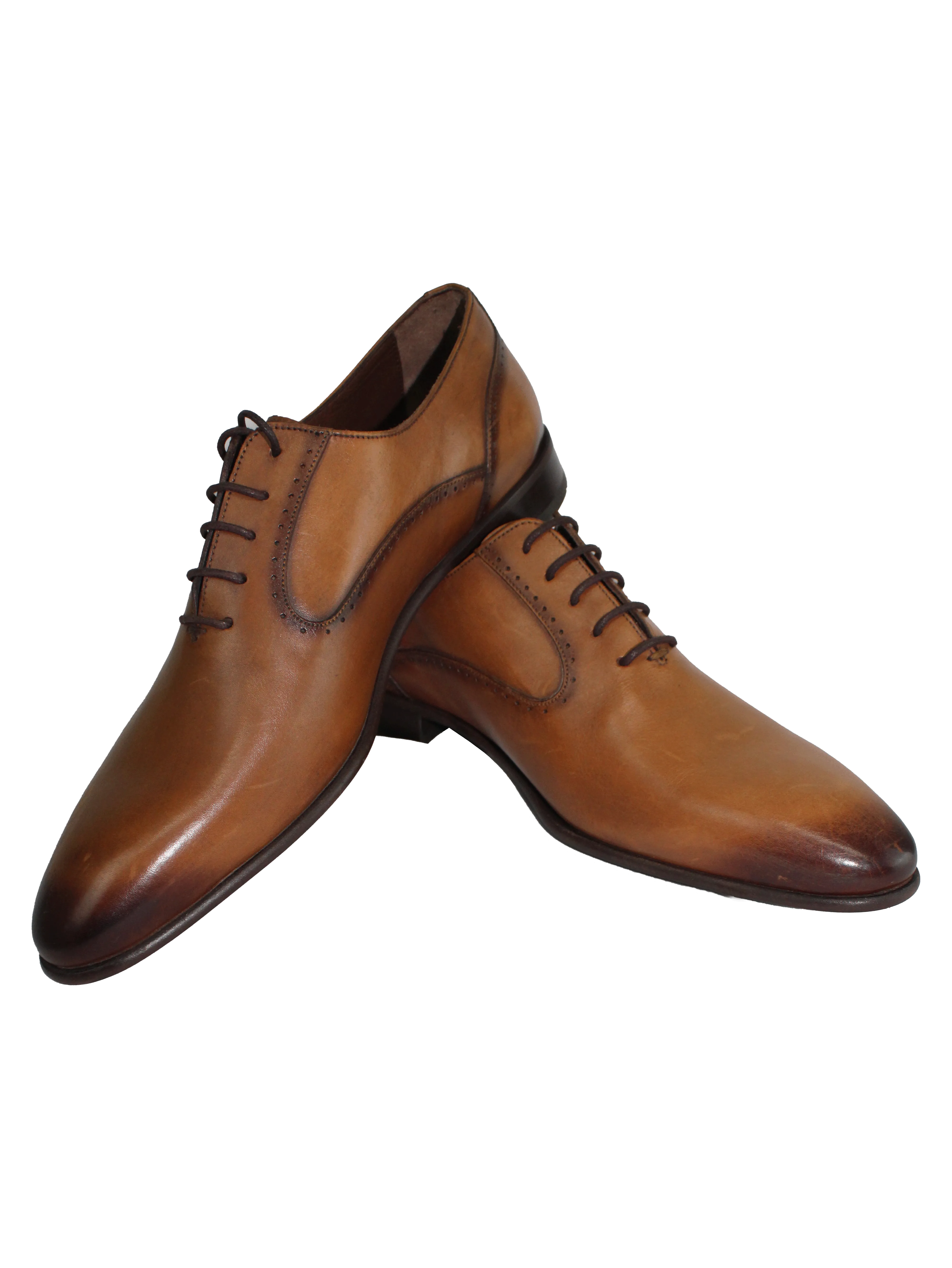 Calvano Tan Lace Up