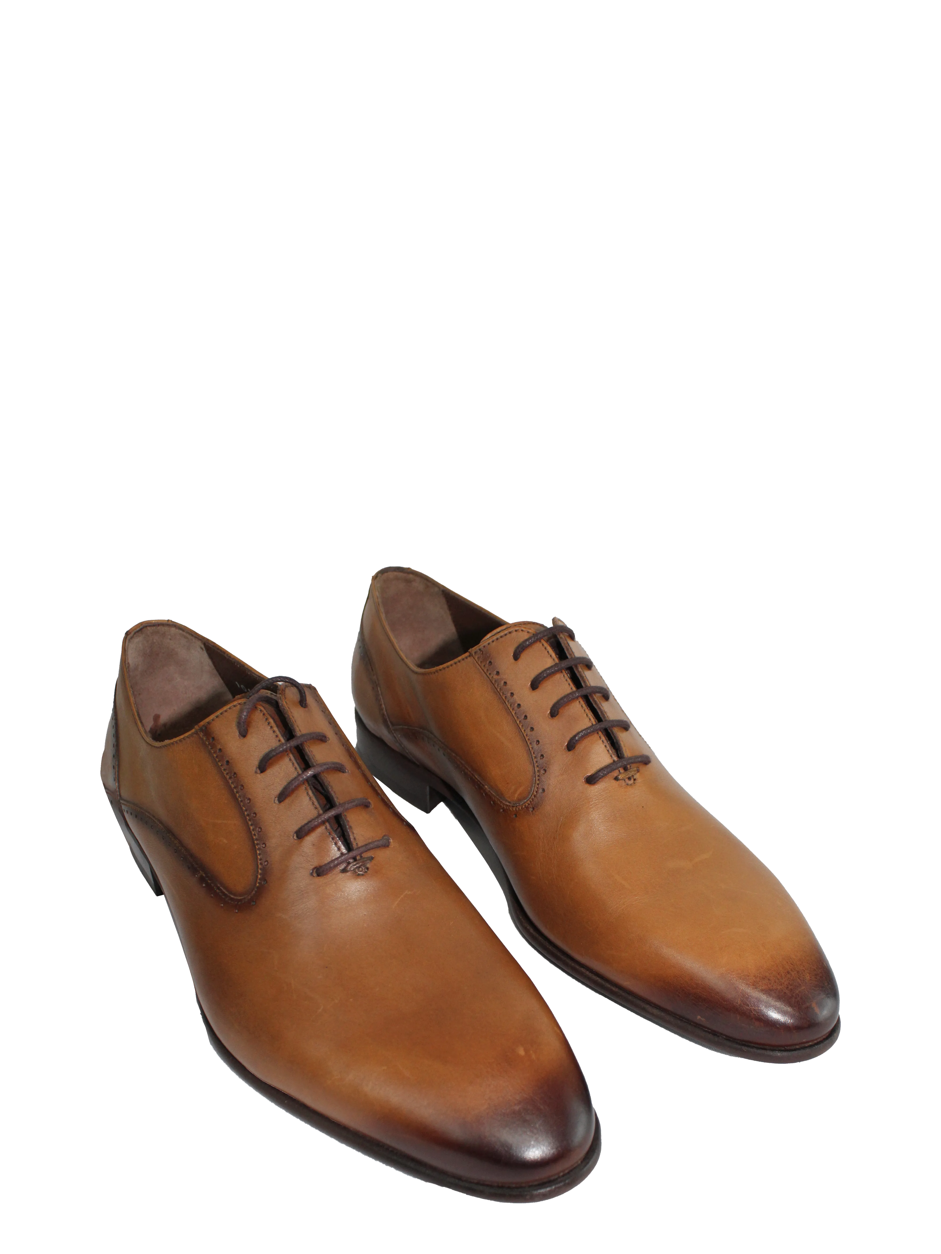 Calvano Tan Lace Up