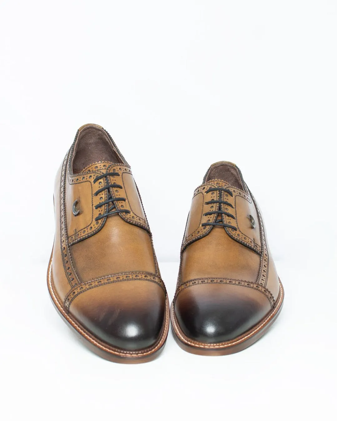 Calvano Tan shoe