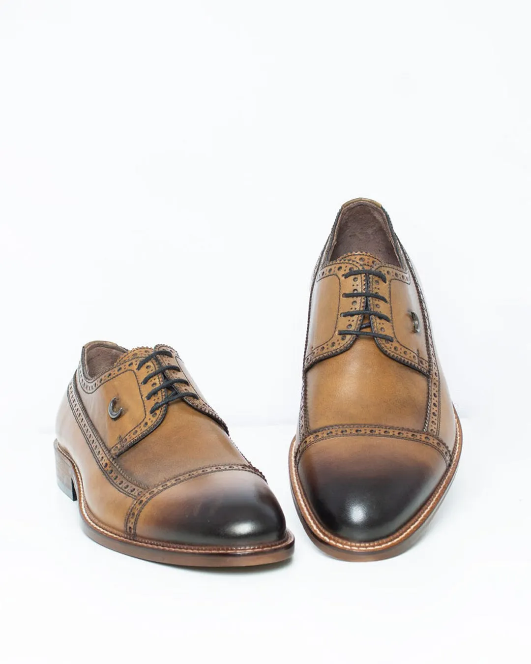 Calvano Tan shoe