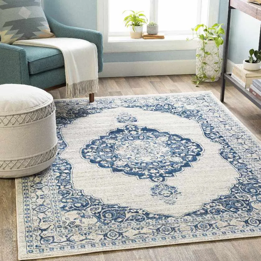 Coostos Updated Traditional Area Rug