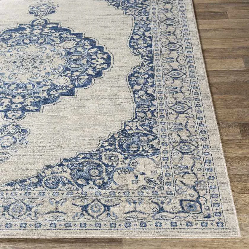 Coostos Updated Traditional Area Rug