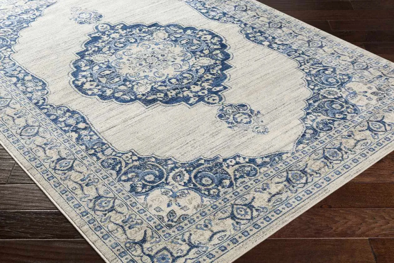 Coostos Updated Traditional Area Rug