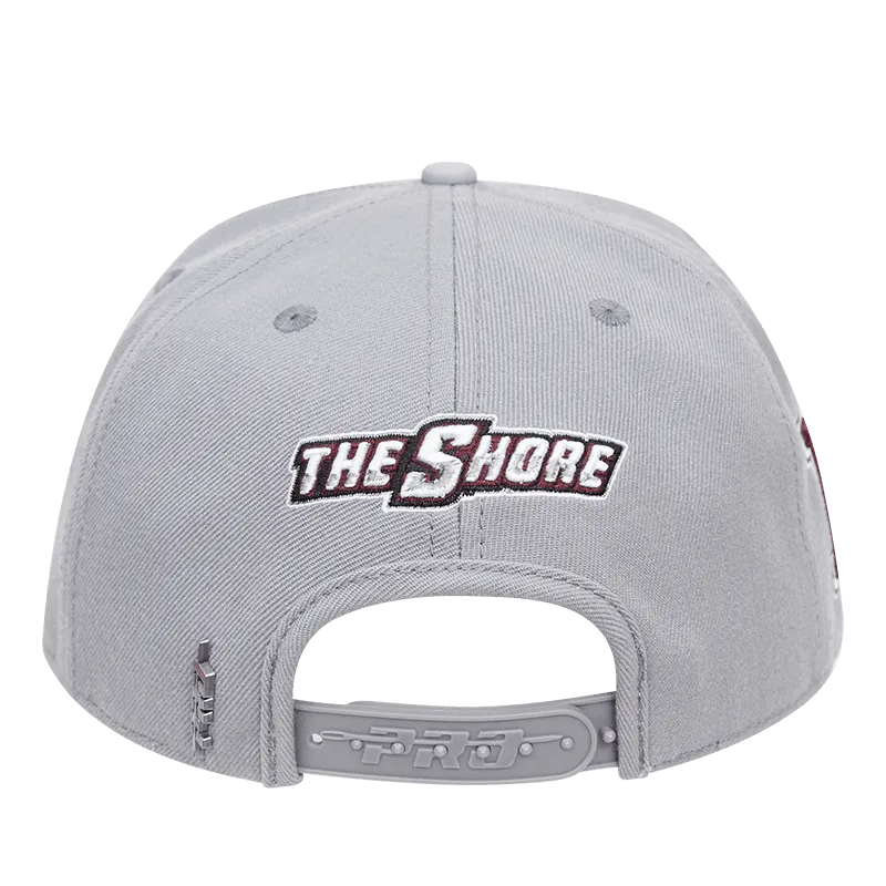 MARYLAND EASTERN SHORE CLASSIC UNISEX WOOL SNAPBACK HAT (GRAY)